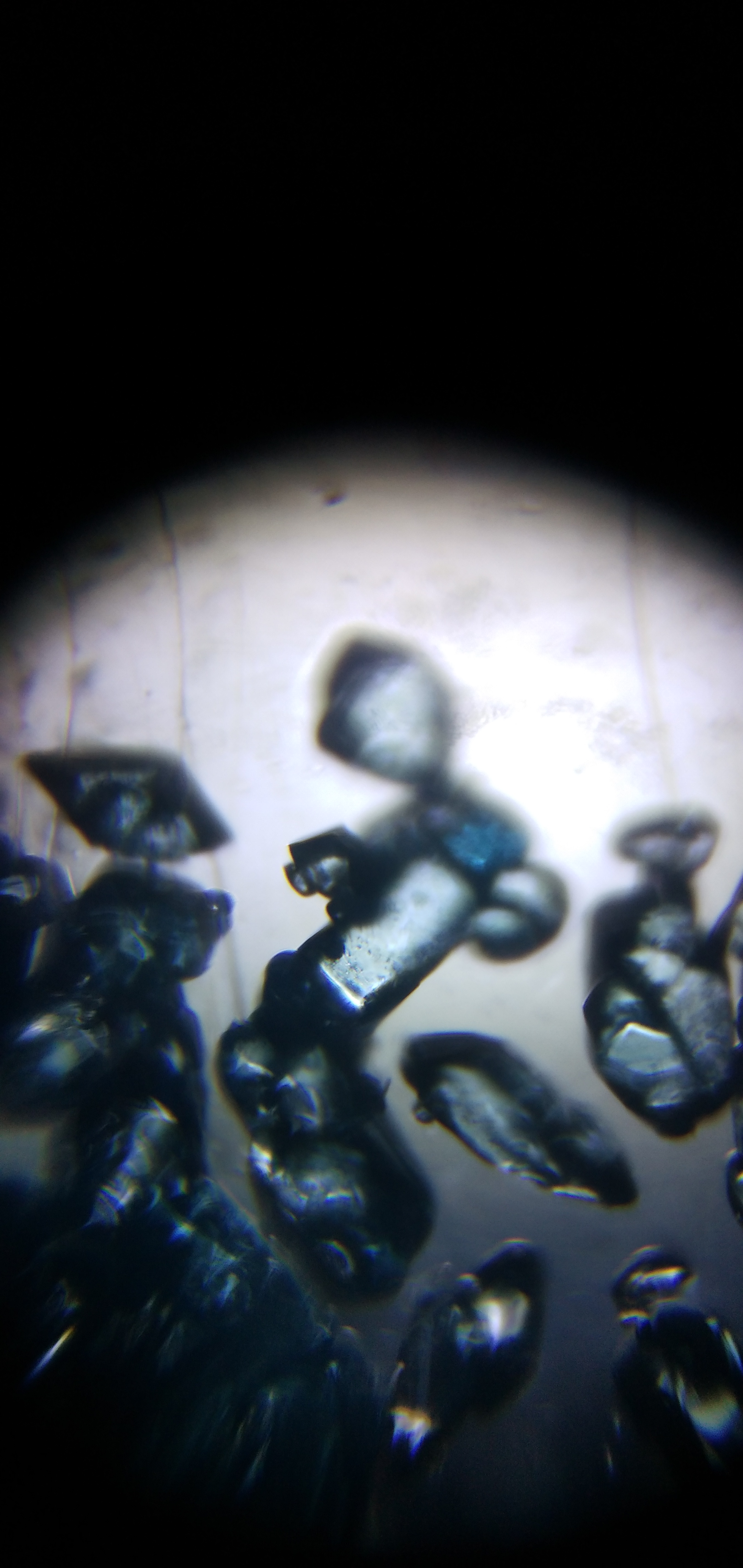CuSo4-crystals.jpg