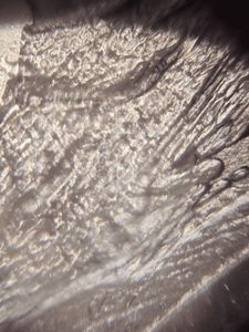 Thumbnail for #LG-AUP 2026 Week-3 Day Two (Observations on 2 June 2026) Part 2 - Potato Flesh