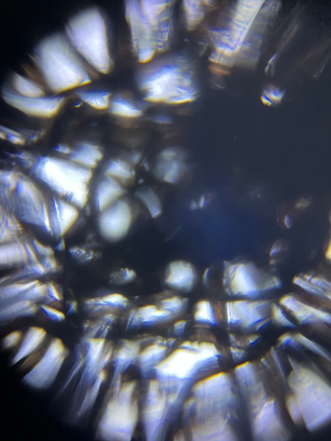 SINGLE IMAGE