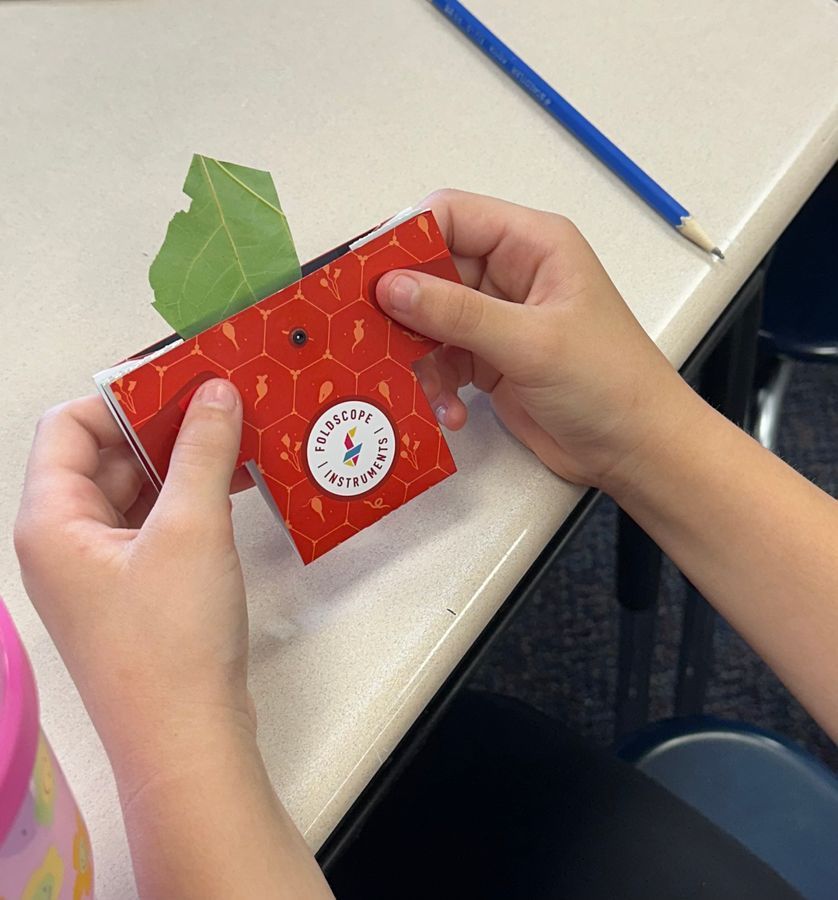 SINGLE IMAGE