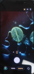 Thumbnail for LGP B-2 DAY 3 Dark photography 