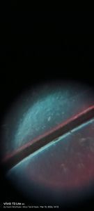 Thumbnail for Untitled