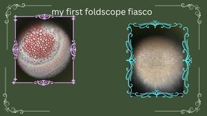 Thumbnail for My First Time Using A Foldscope in LGP-26