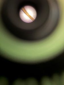 Thumbnail for Strand of Hair