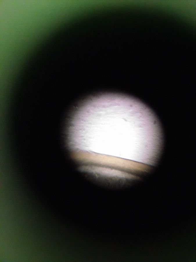 SINGLE IMAGE