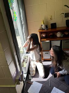 Thumbnail for Foldscope Lab: Investigating Pollen Samples