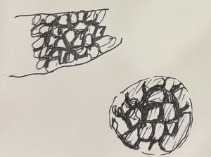 Thumbnail for DAY - 2 LGP 26 : POTATO PEEL 