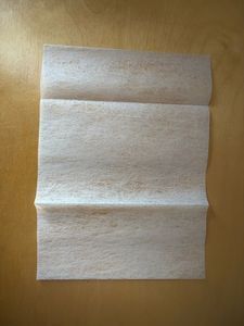 Thumbnail for MtA_BIOL2201_2026 Dryer Sheet Investigation