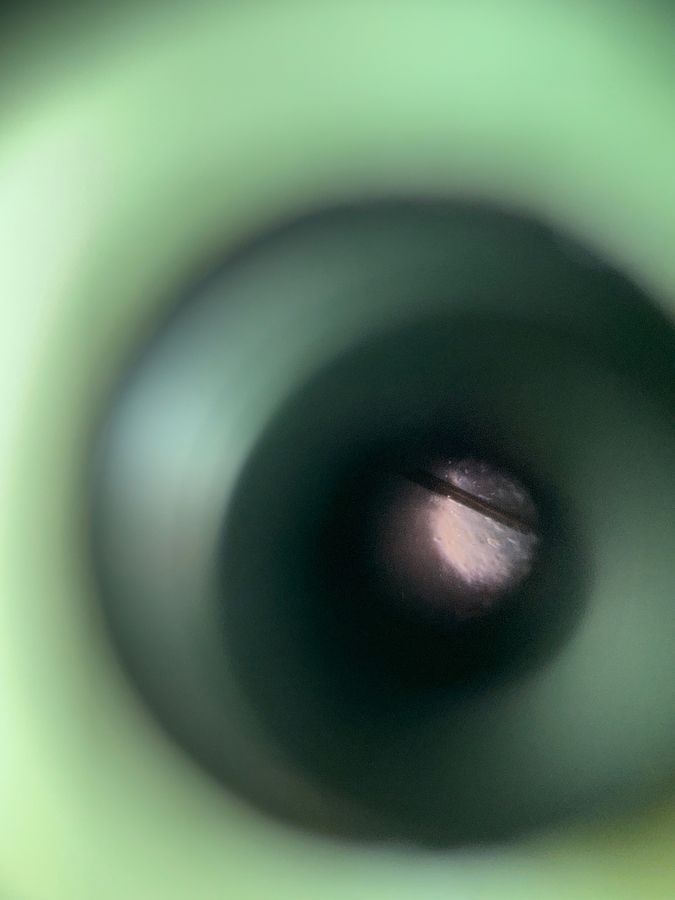 SINGLE IMAGE