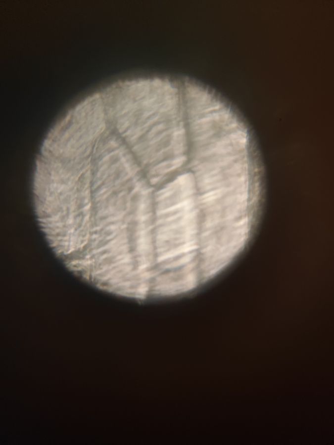 SINGLE IMAGE