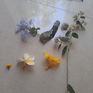 Thumbnail for Exploring the Campus at NCBS 14 Feb 2026