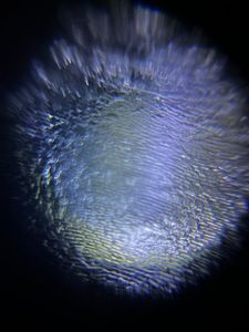 Thumbnail for LGP 25 - The Onion Overscaling