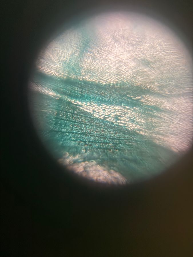 SINGLE IMAGE