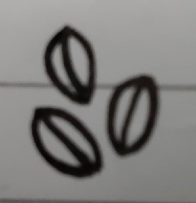 SINGLE IMAGE