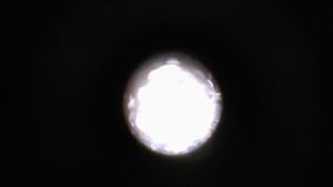 Thumbnail for Foldscope Pass/Fail