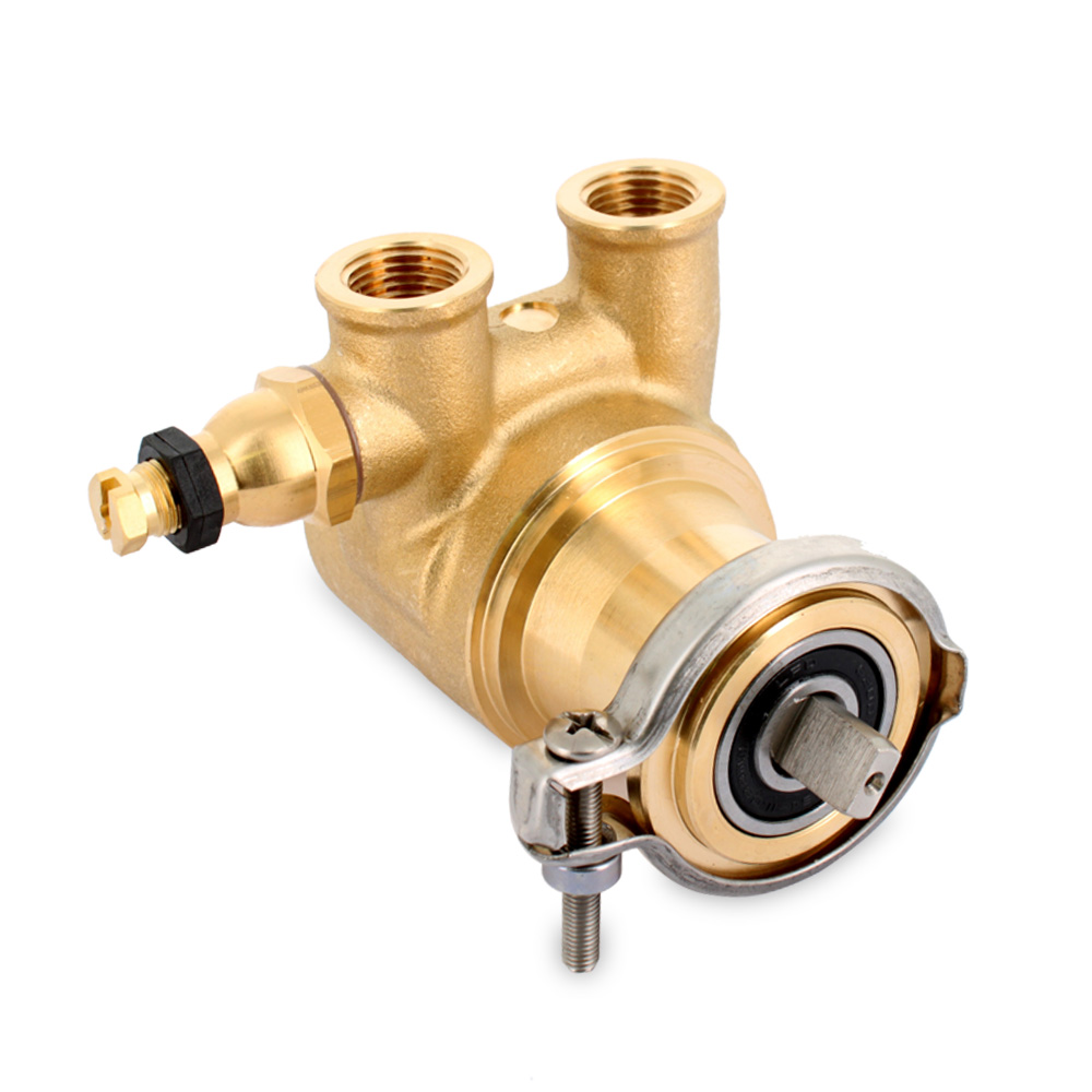 Pompa rotativa attacco a fascetta portata 100 Lt/h Ø 3/8 conico NPT dimensione s