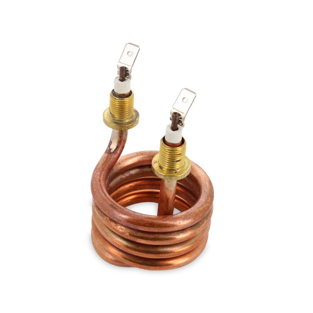 Resistenza 1000W 220V 2 poli, 50mm attacchi M10, immersione 55mm