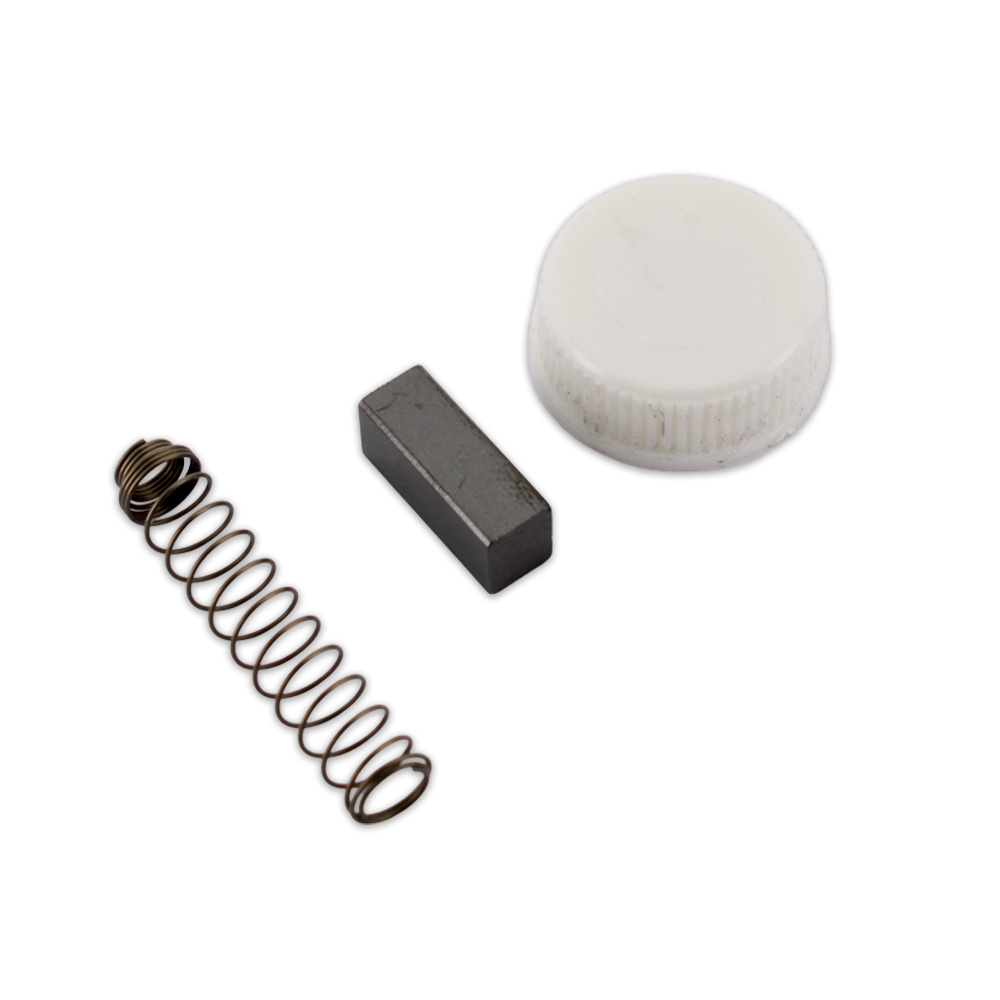 Spazzole motore kit