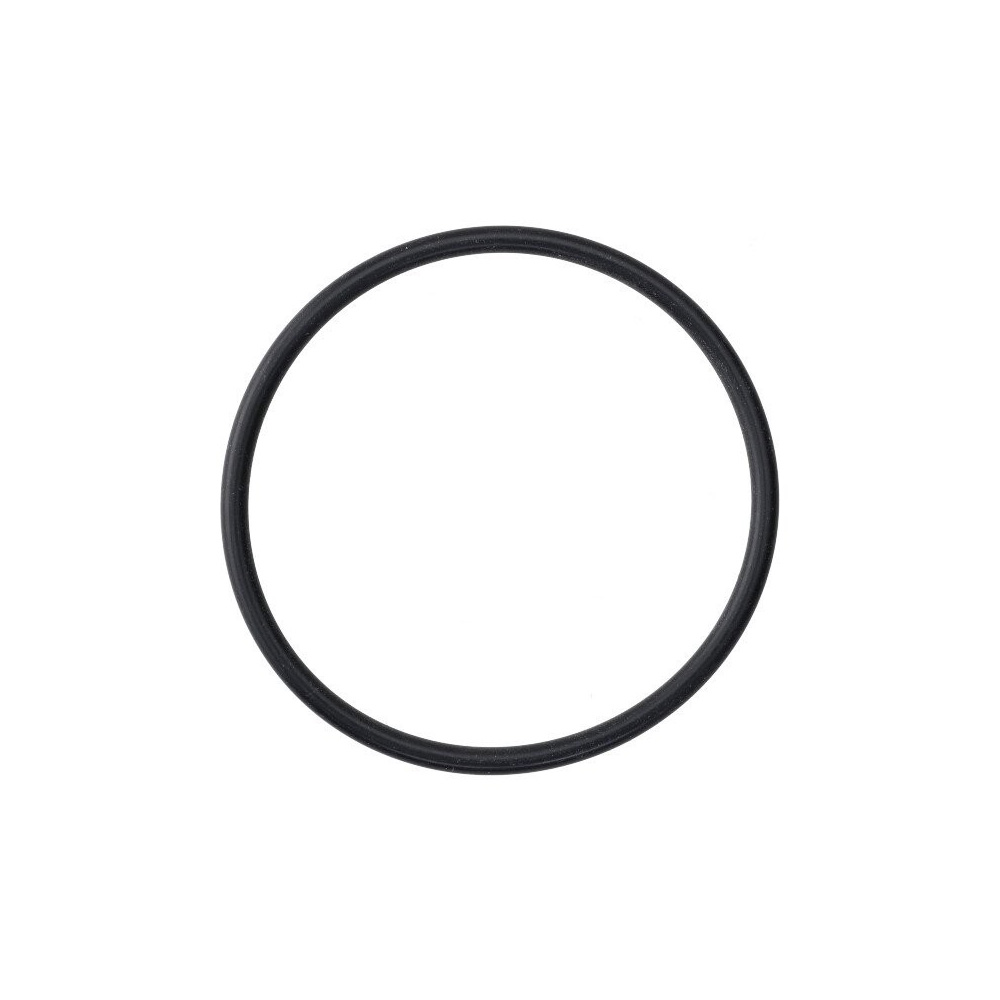 Guarnizione O-ring 167 63,5X3,63 mm EPDM Nero