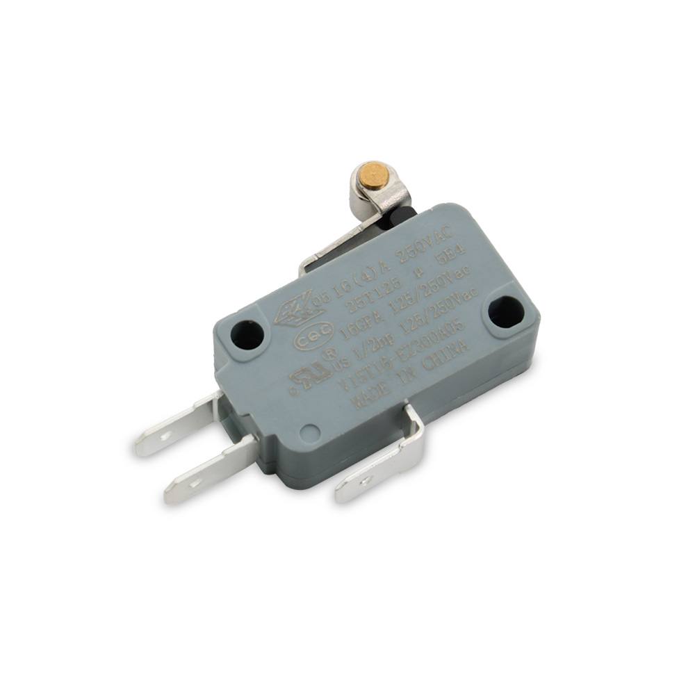 Microinterruttore V15T16 EZ300A05