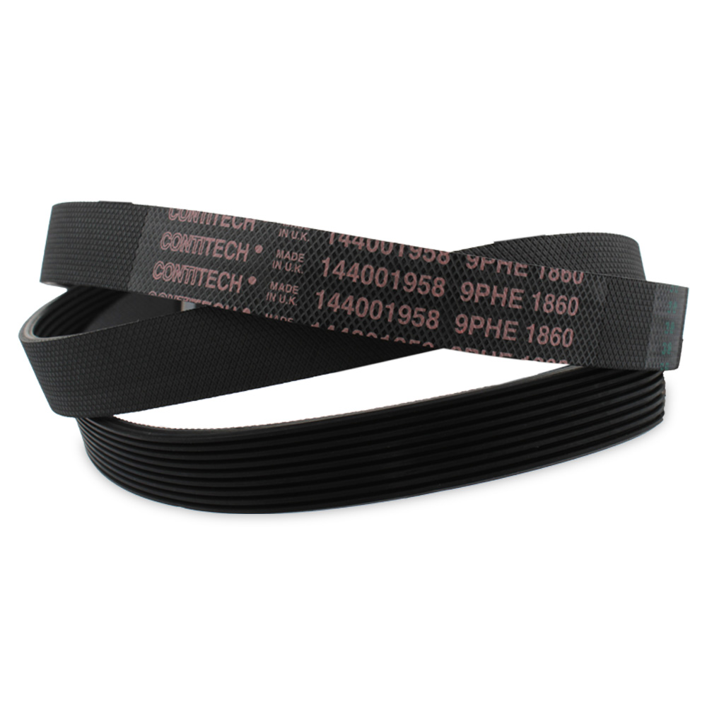 Cinghia elastica 1860H9 EL per tamburo asciugatrice