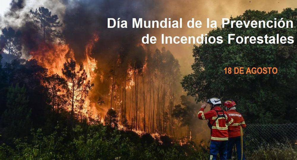Imagen de la Efemétide