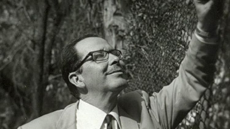 Imagen de la Efemétide