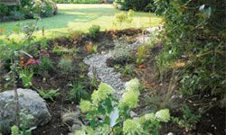Add a Rain Garden to Your Lawn Be Gone!