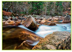 Image of the Tuolumne River