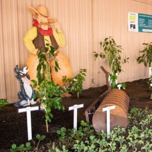 SLO County Farm Bureau Exhibit