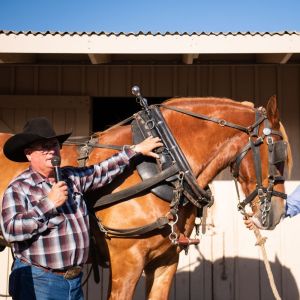 Draft Horse Demo w/ Harris Stage Lines