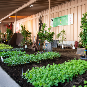 SLO County Farm Bureau Exhibit