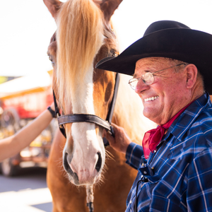 Draft Horse Demo w/ Harris Stage Lines