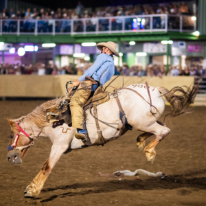 805 Country Rodeo Finals