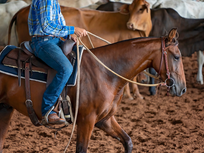 Clements Cutting Club Summer Bash