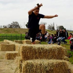 Farmer's Olympics