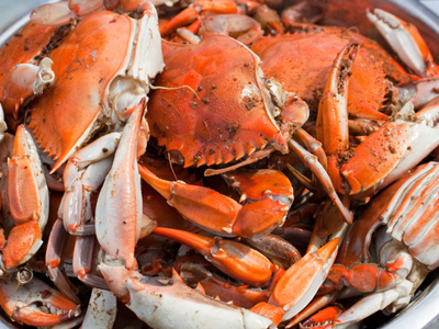 CRAB FEED  2026 FOUNDATION FOR AG AWARENESS CRAB FEED (Ticketed Event)