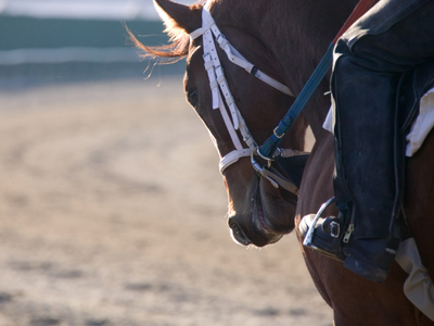 Cattlemen's Play Day