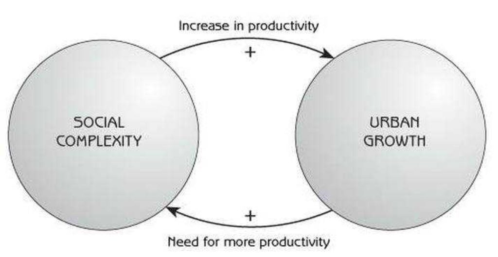 Konsep Social Complexity