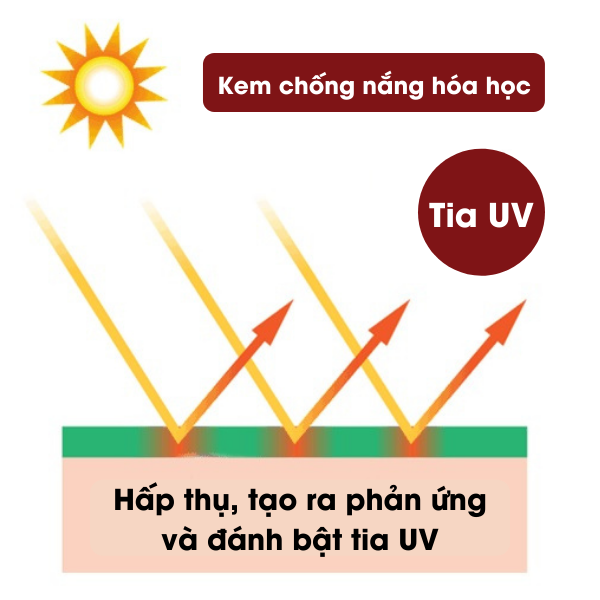 Tác dụng kem chống nắng hóa học