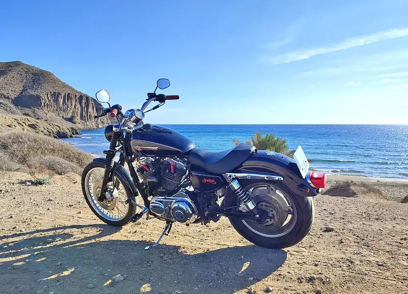 Harley-Davidson Sportster 1200 Custom 7000 € 2008 Almería - 1