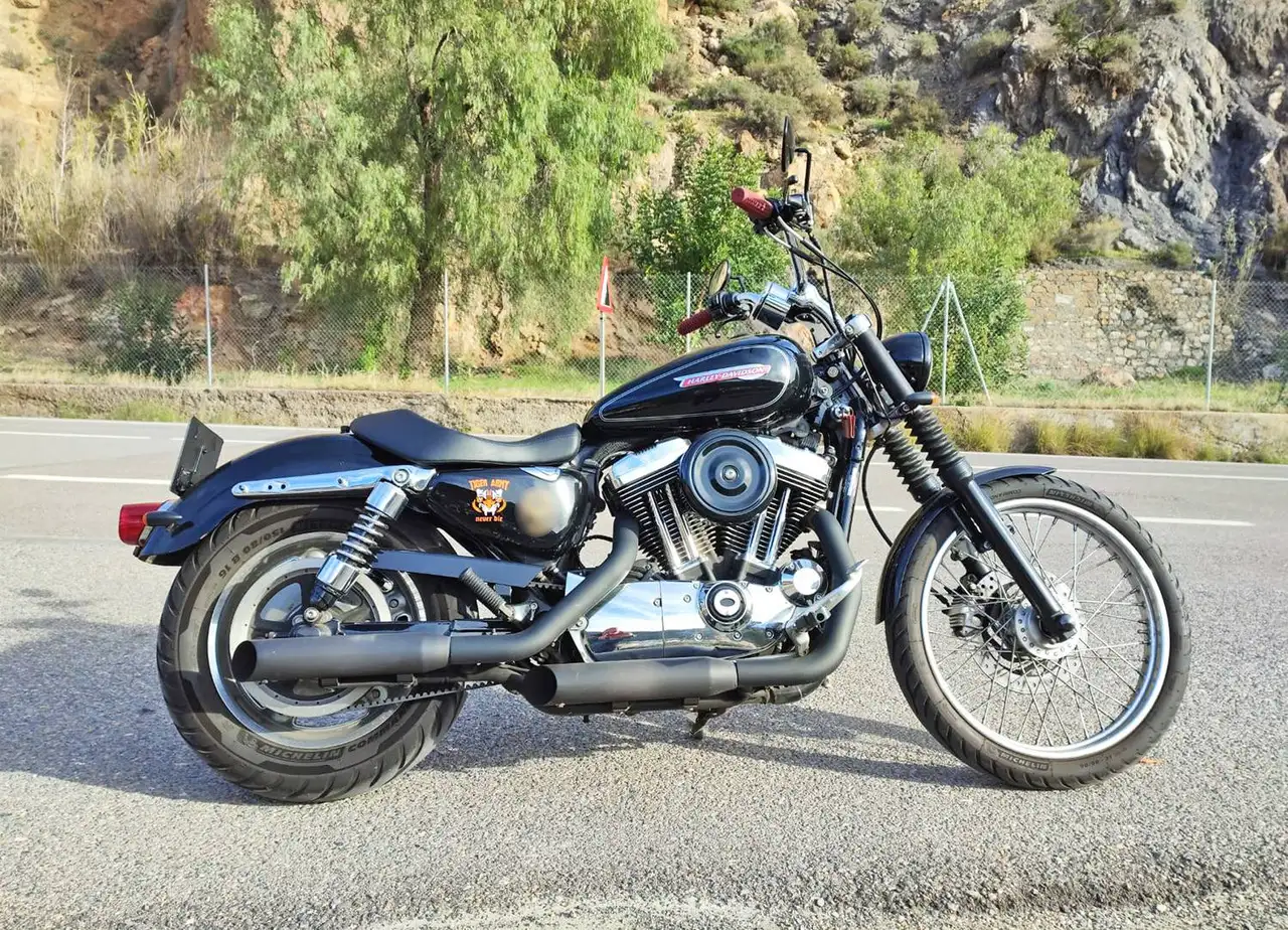 Harley-Davidson Sportster 1200 Custom - Vista 3