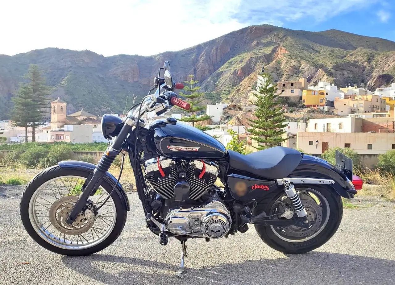 Harley-Davidson Sportster 1200 Custom - Vista 4