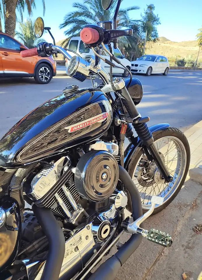 Harley-Davidson Sportster 1200 Custom - Vista 5