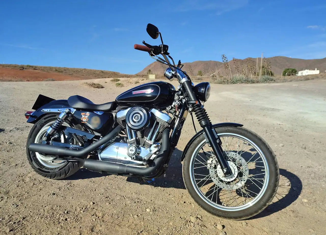 Harley-Davidson Sportster 1200 Custom - Vista 6