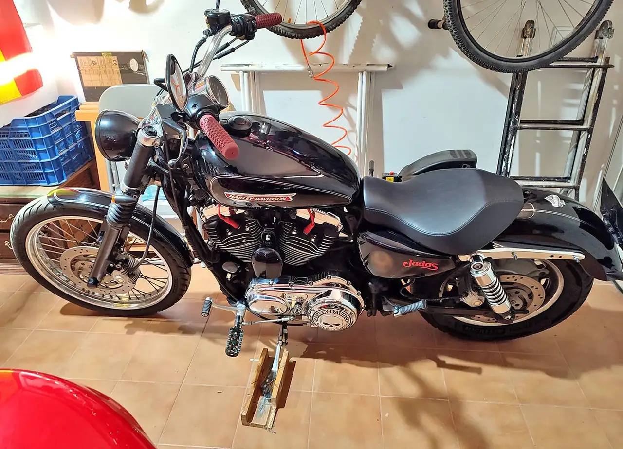 Harley-Davidson Sportster 1200 Custom - Vista 8