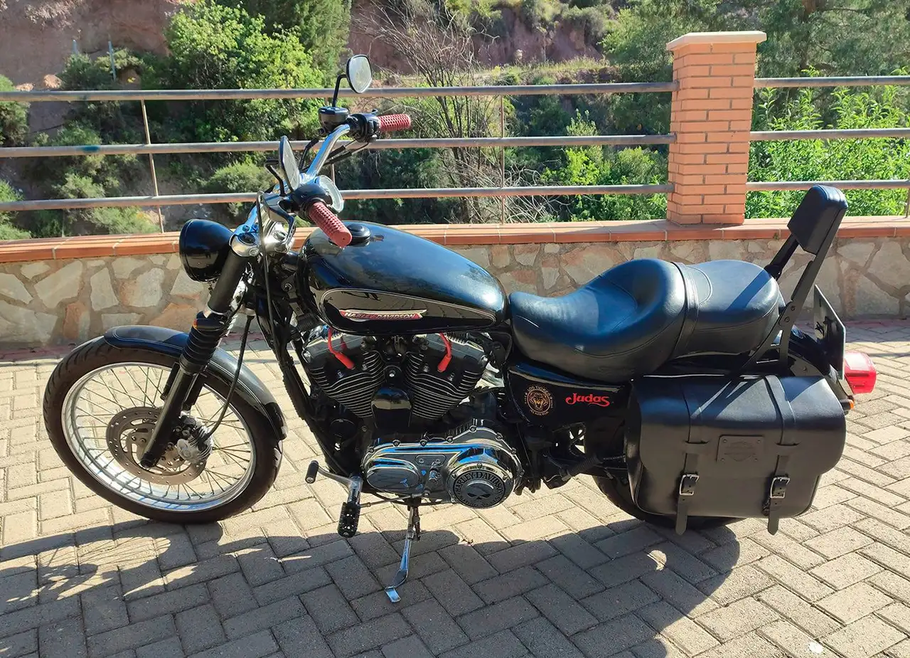 Harley-Davidson Sportster 1200 Custom - Vista 10