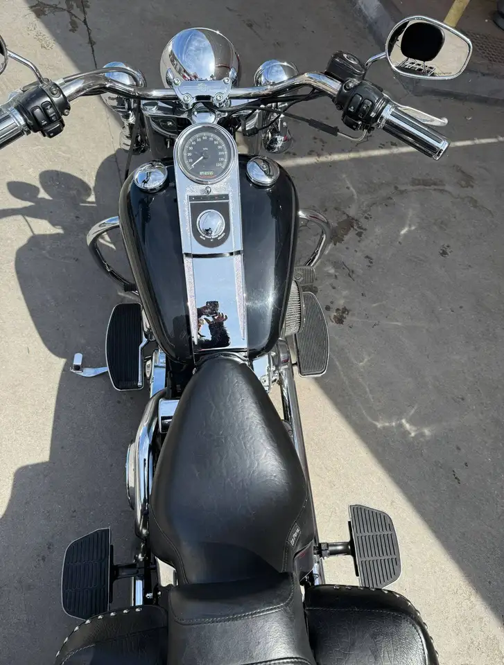Harley-Davidson Softail Heritage – Vista 5