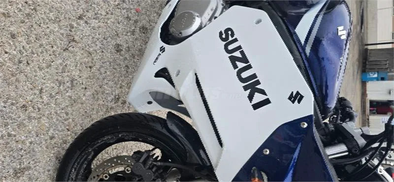 Suzuki GS 500F – Vista 8