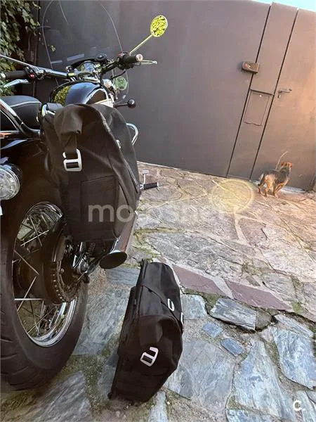 Triumph Bonneville Speedmaster – Vista 5